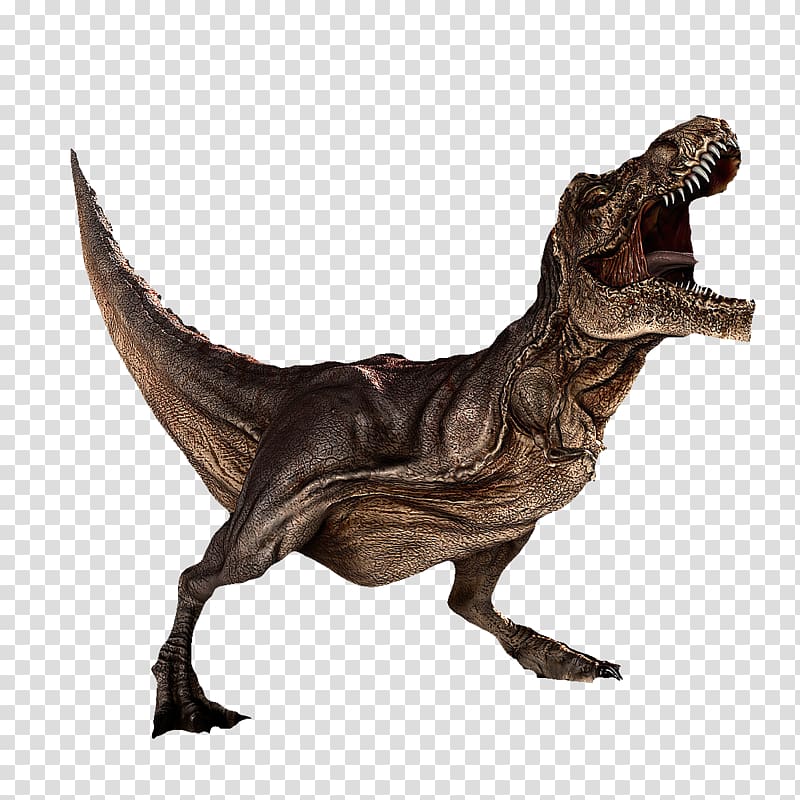 trex clipart dinosaur roar