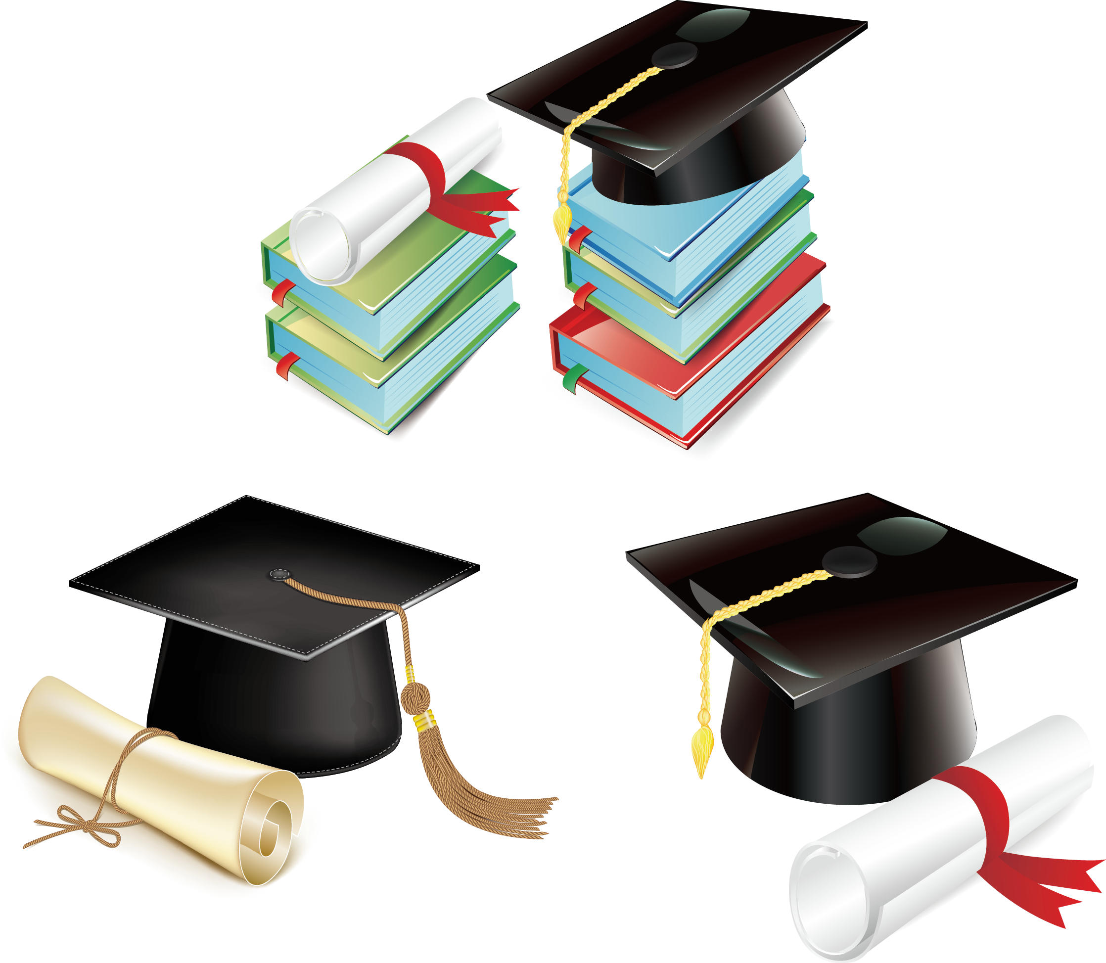 Diploma university education
