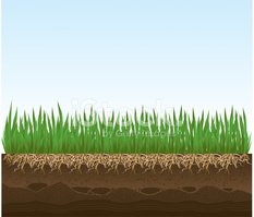 dirt clipart grass