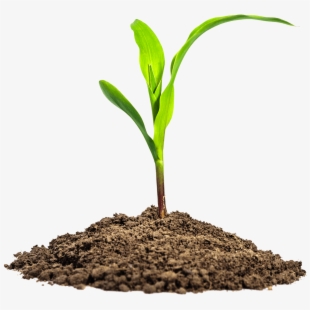 dirt clipart rich soil