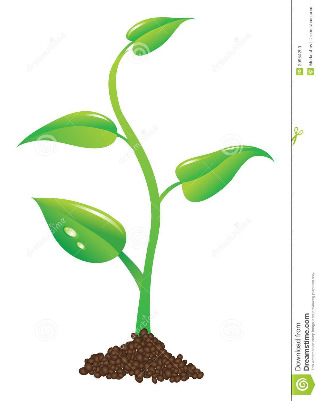 growth clipart plant seedling