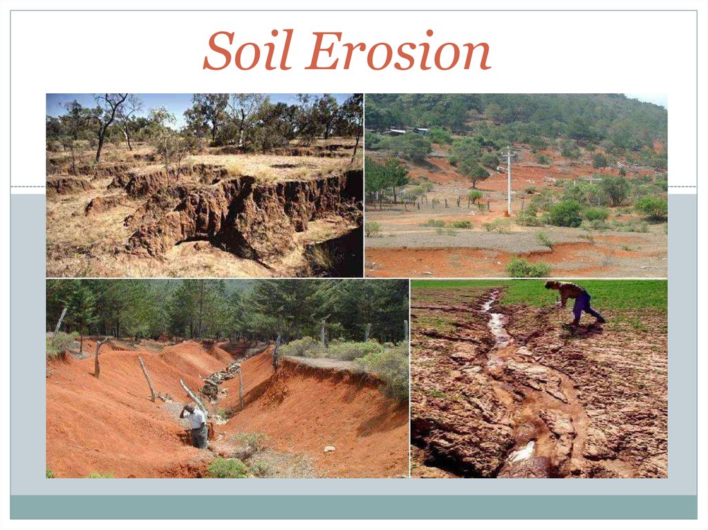 dirt clipart soil erosion prevention