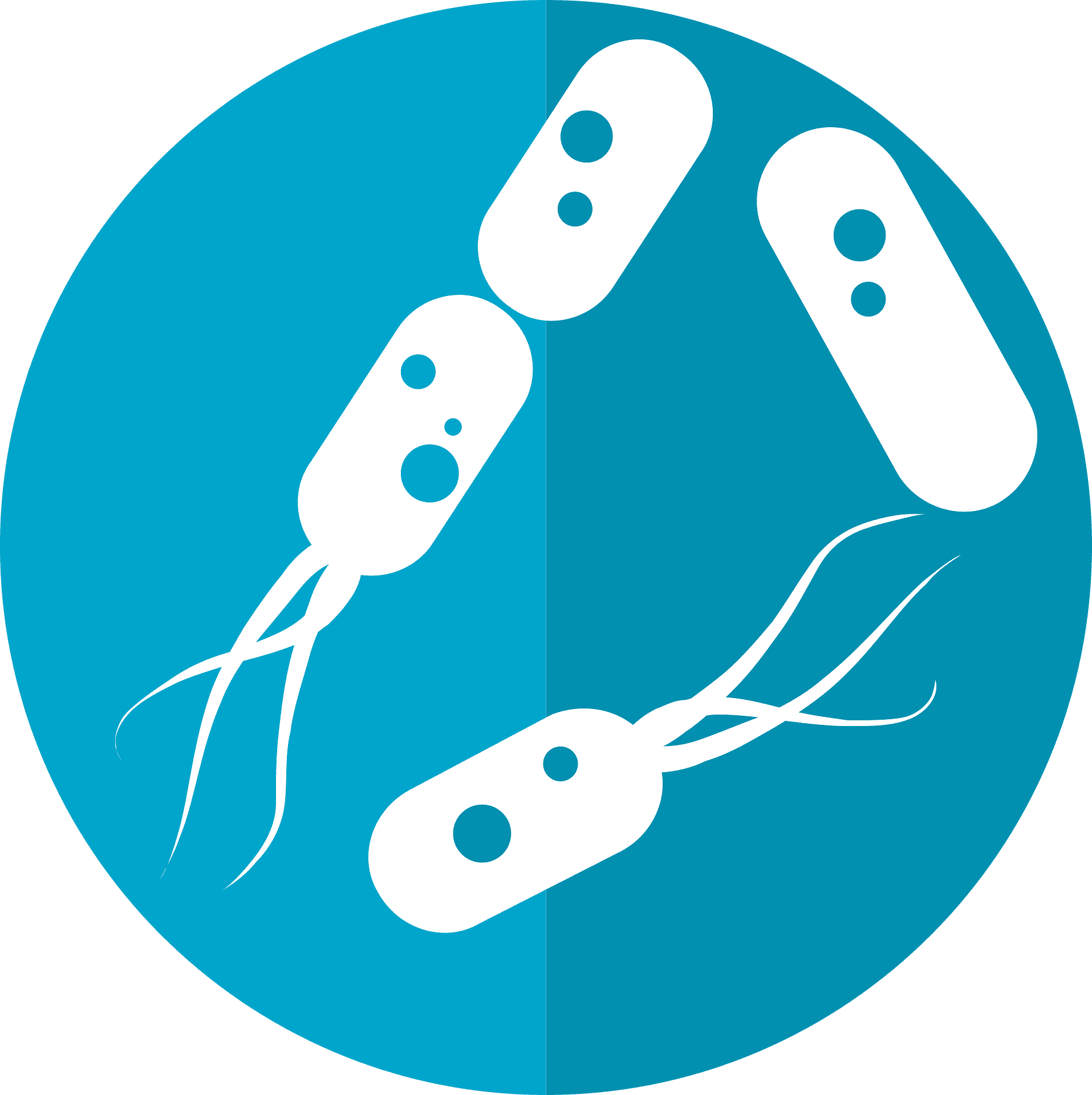 disease clipart antibiotic resistant bacteria