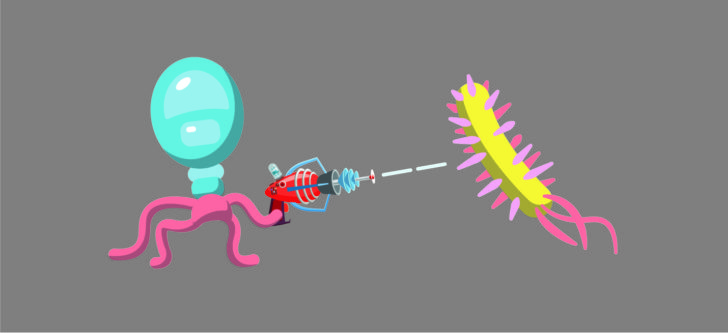 Disease clipart antibiotic resistant bacteria. How viruses can help