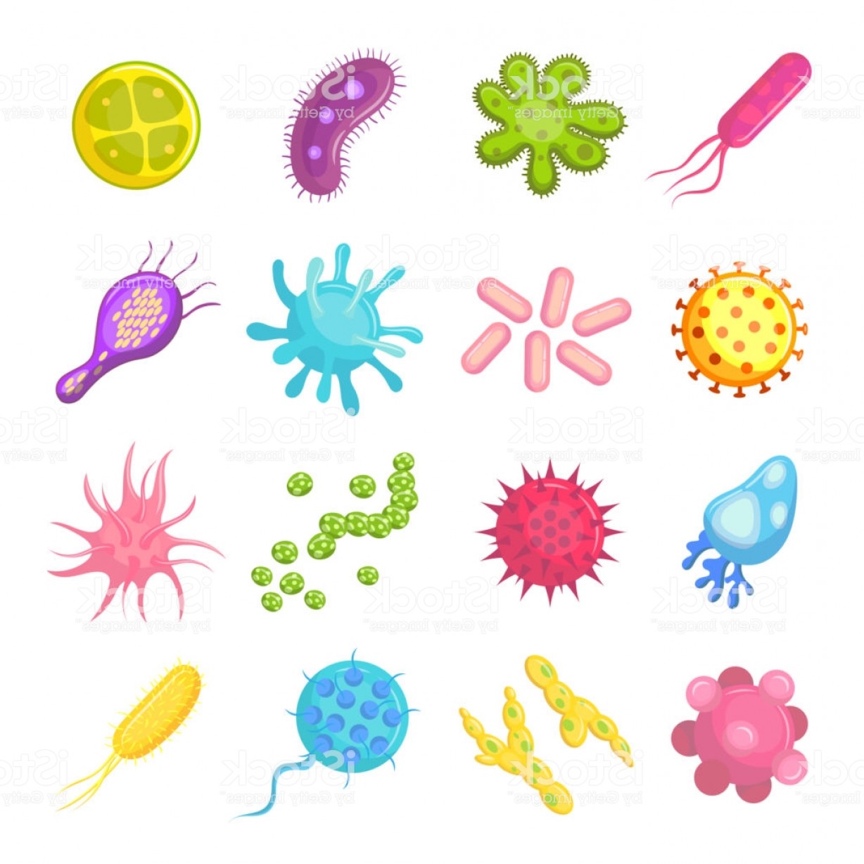 Germs clipart microscopic organism. Bacteria and colorful set