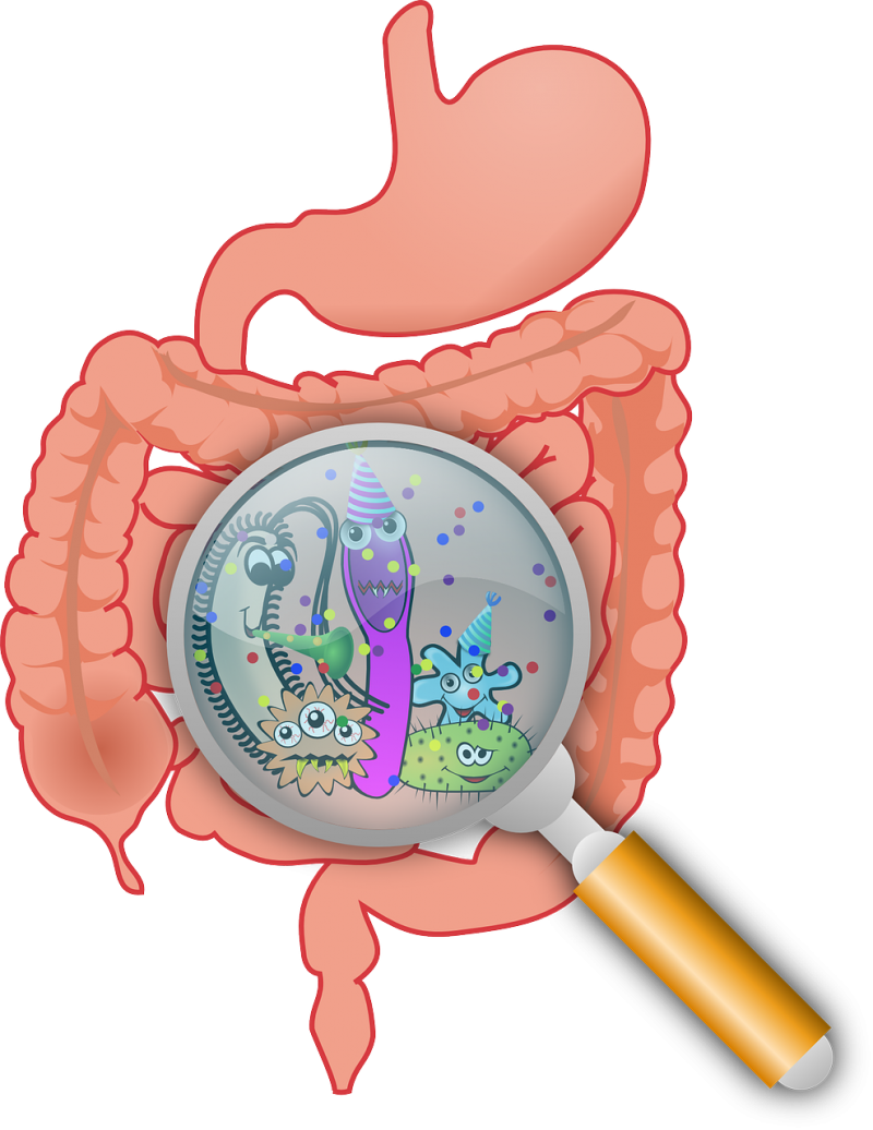 Disease clipart crohn's disease. Gi disorders crohn s