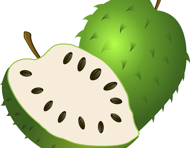 seedling clipart unhealthy plant