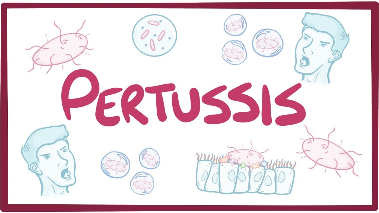 disease clipart pertussis