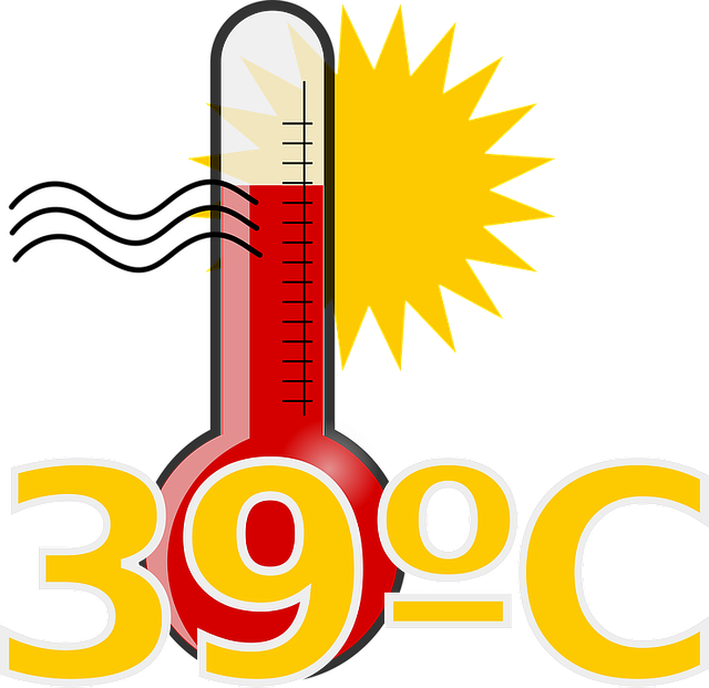 fever clipart glass thermometer
