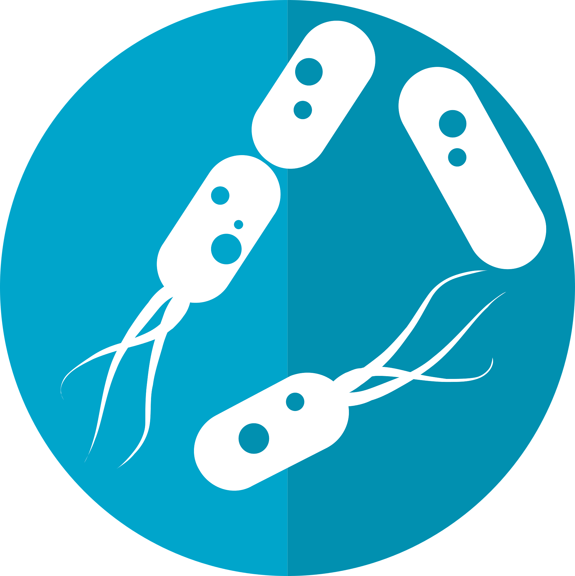 Disease clipart typhoid. Bacteria vetzone gramnegative the