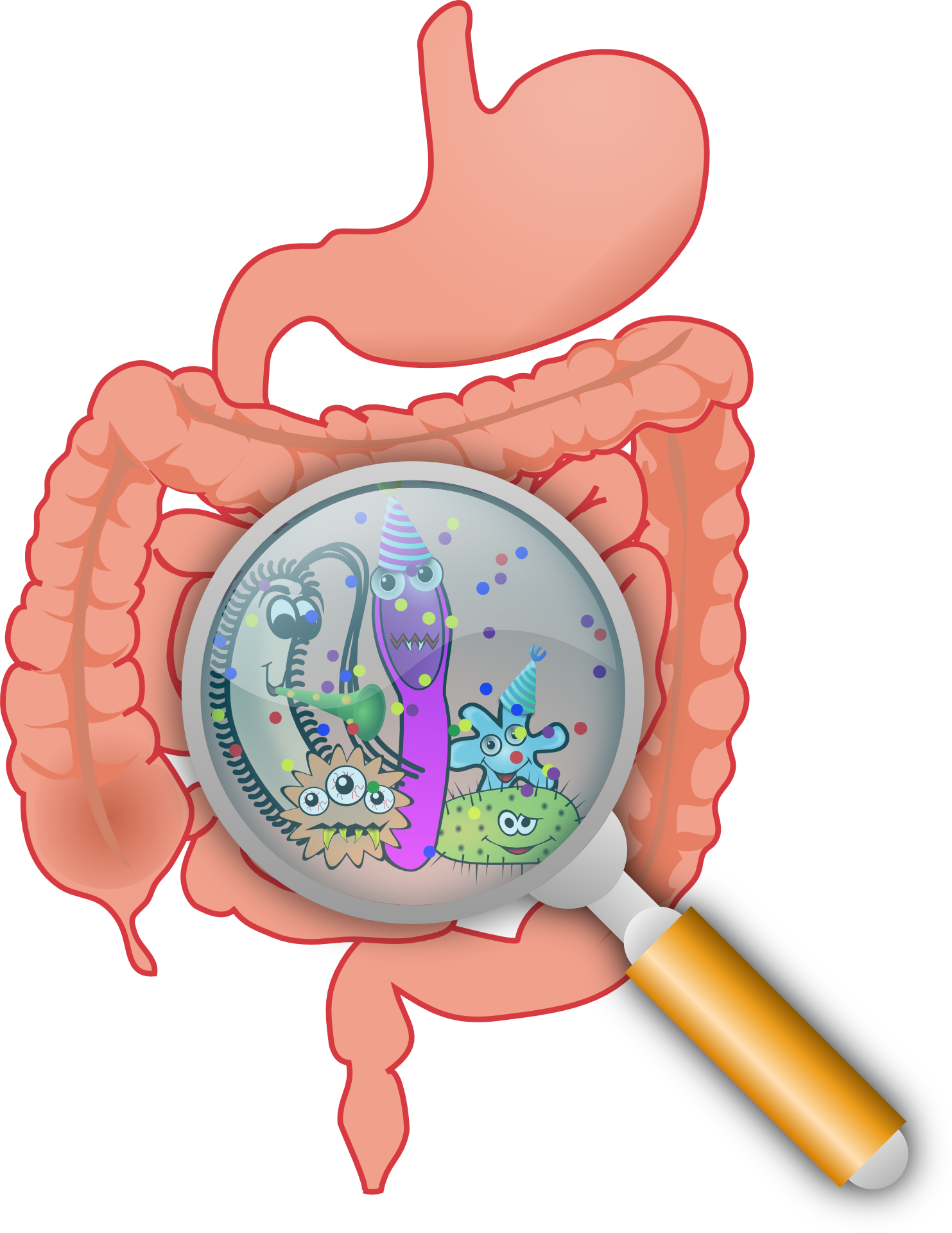 Liver clipart fatty liver. My journey of living