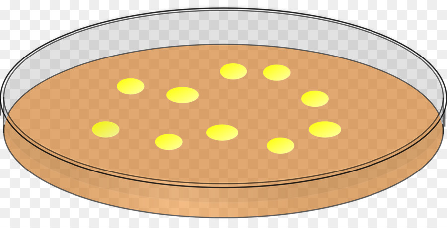Dishes clipart yellow plate. Bacteria cartoon line transparent