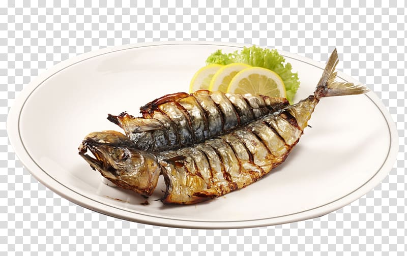 dishes clipart fish grill