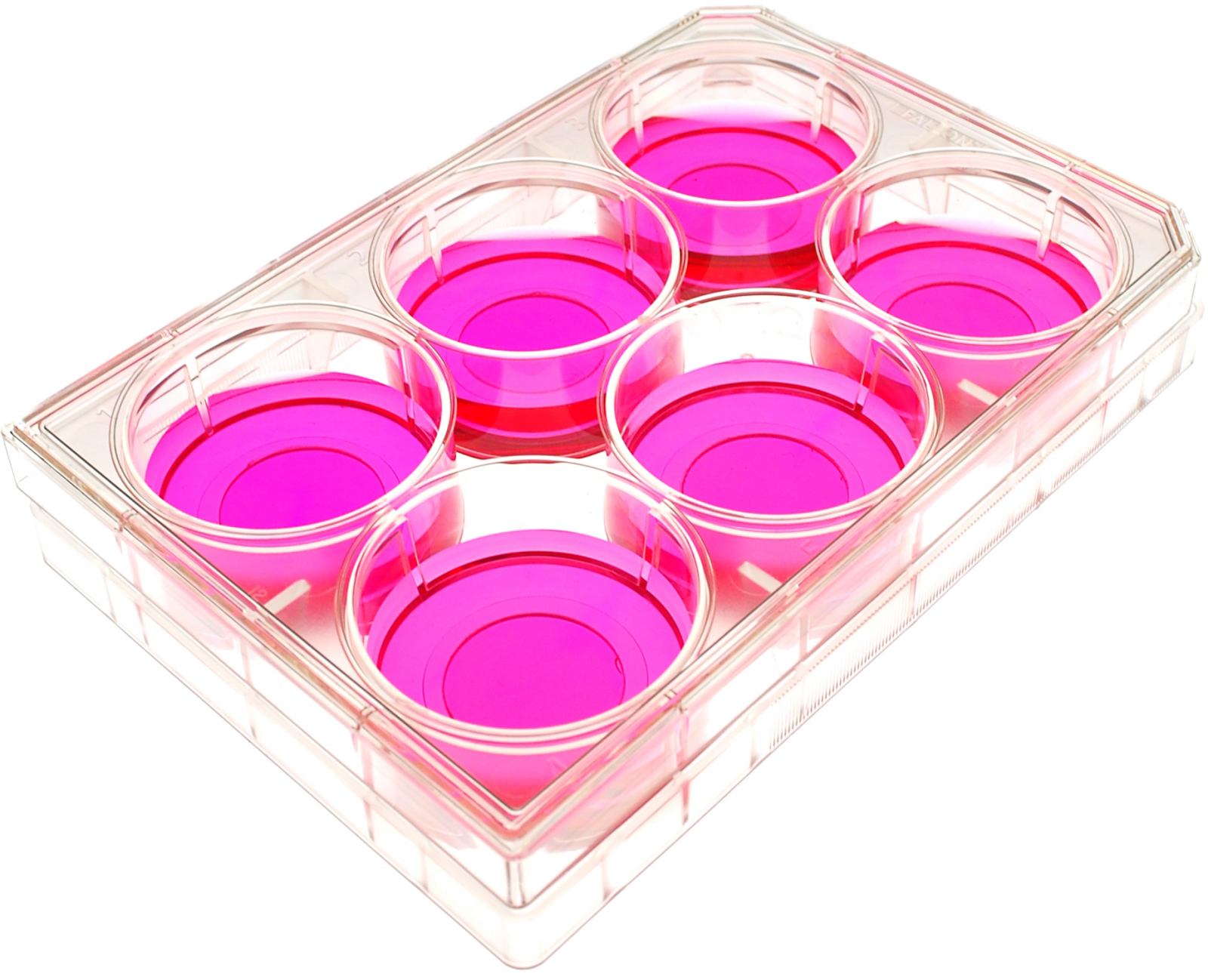 dish clipart pink plate
