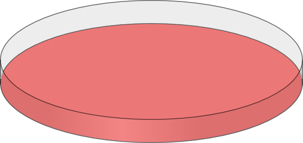 dish clipart red plate