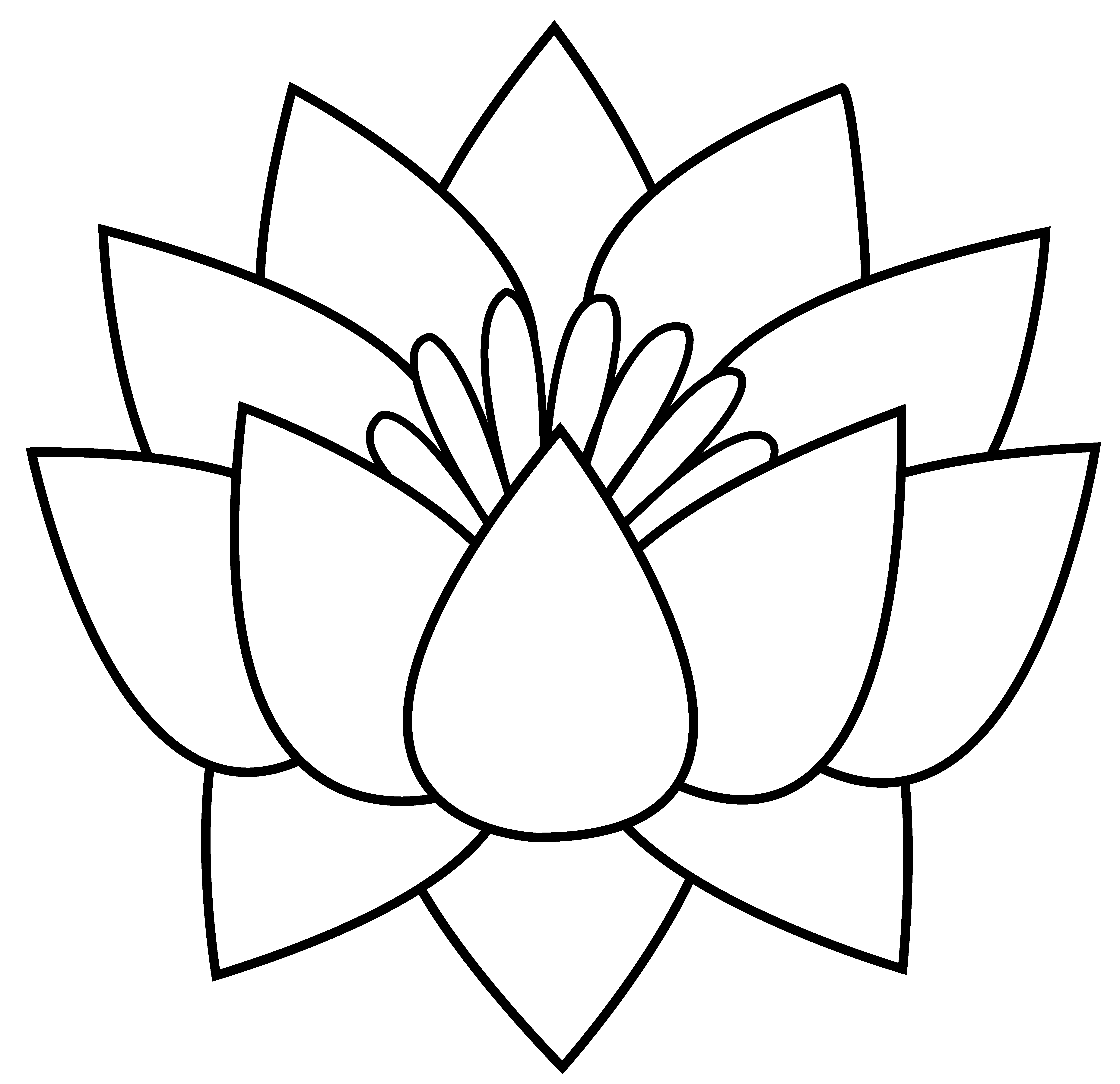 lotus clipart colored