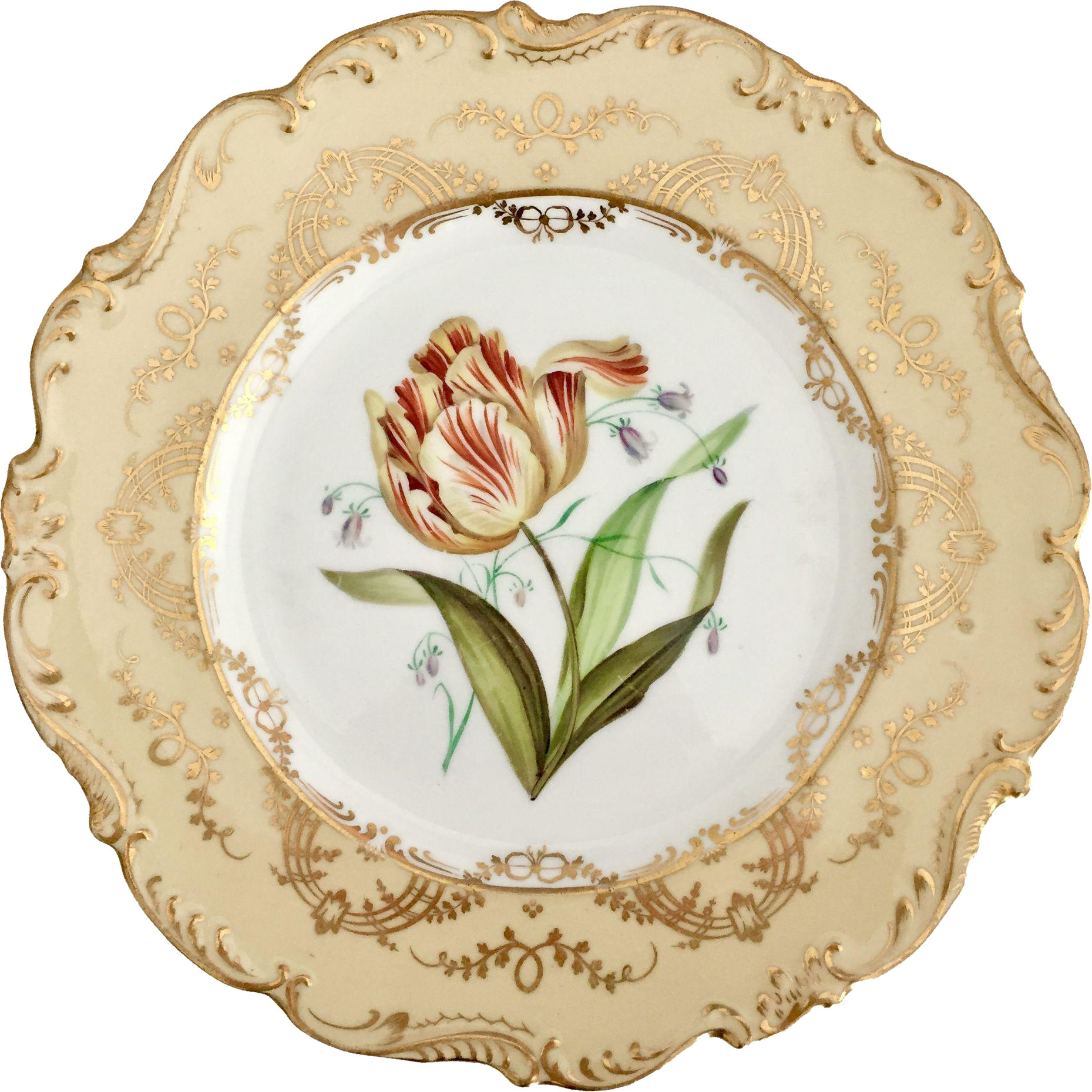 Dishes clipart porcelain. Ridgway dinner plate sublime