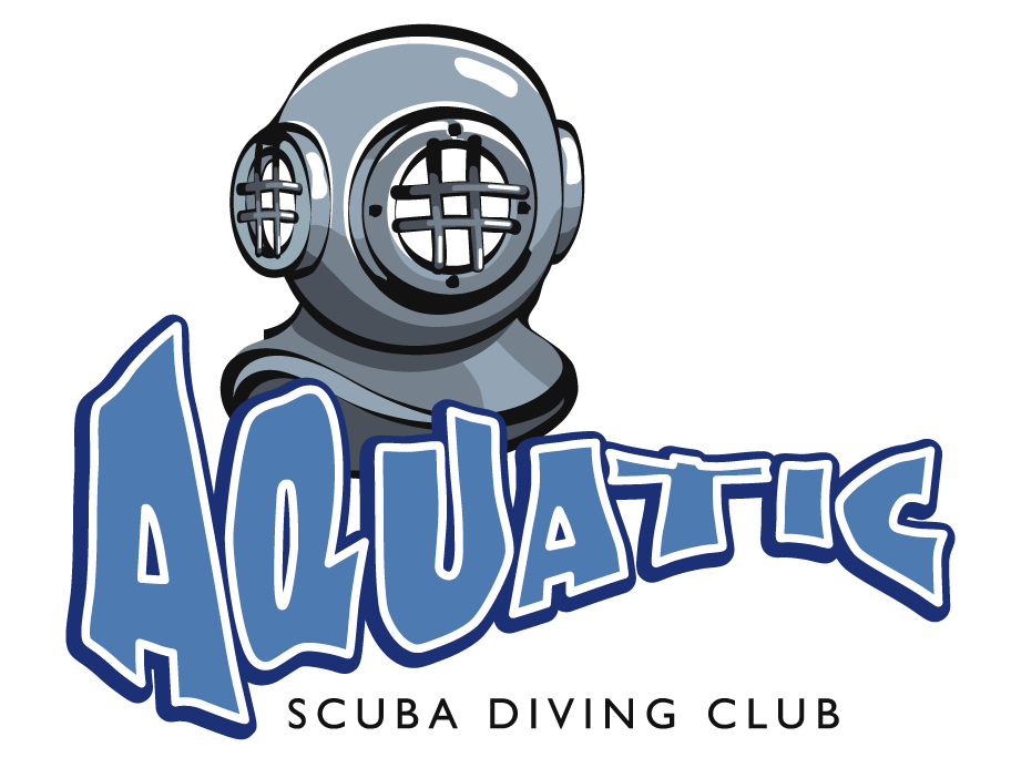 Diver commercial diver