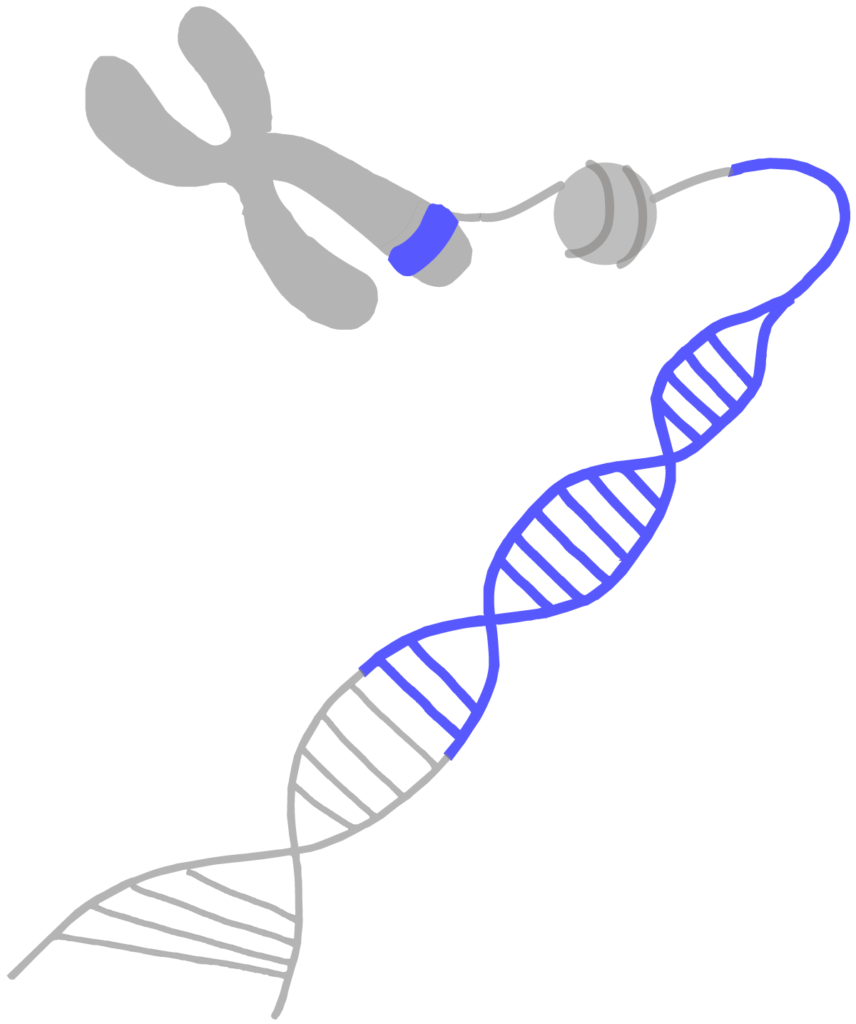 dna clipart gene therapy