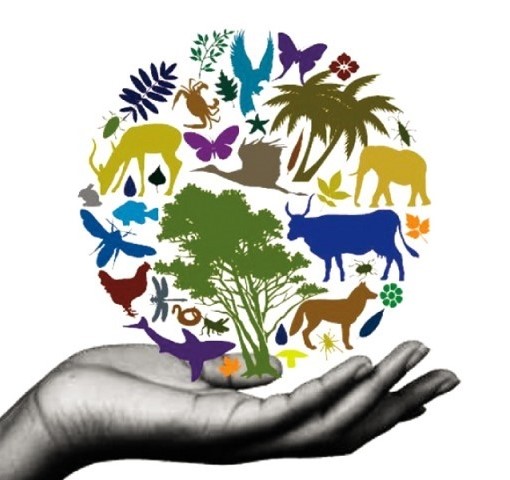 Diversity clipart international day. Biodiversity aspire sustainability 