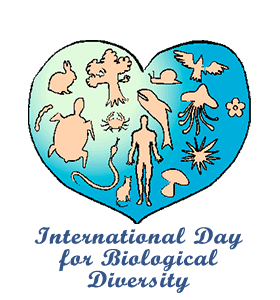 For biological us . Diversity clipart international day