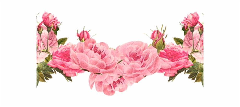 Divider clipart floral. Free flower png download