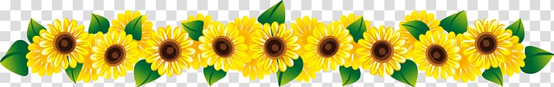 divider clipart sunflower