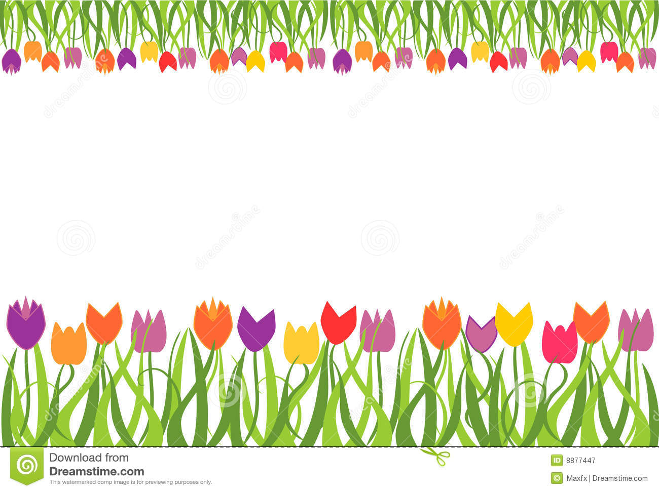 Divider clipart tulip. Tulips border portal 