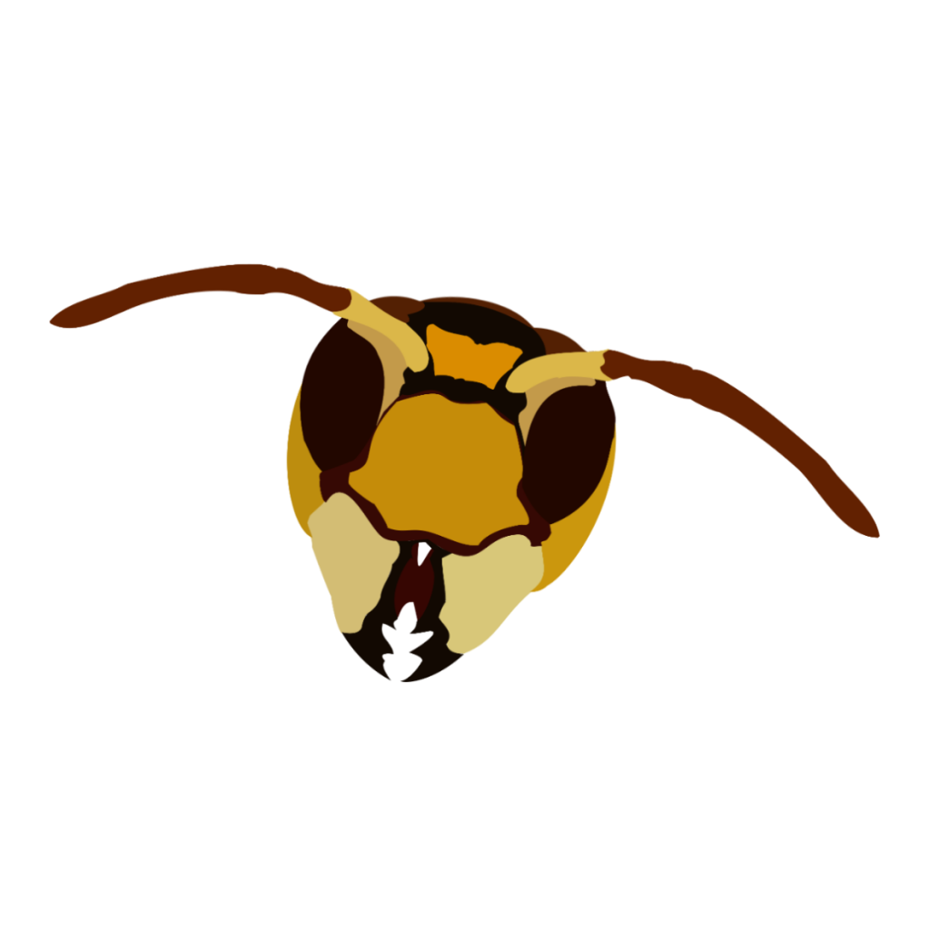 Dj clipart techno music. Yves morris mixes