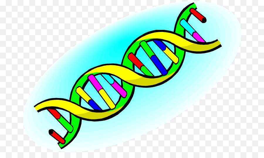 dna clipart all about science