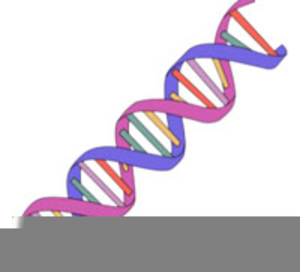 dna clipart animated