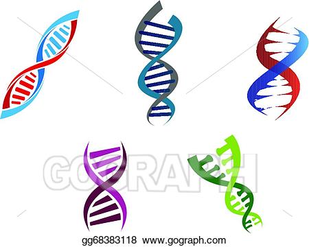 dna clipart colourful