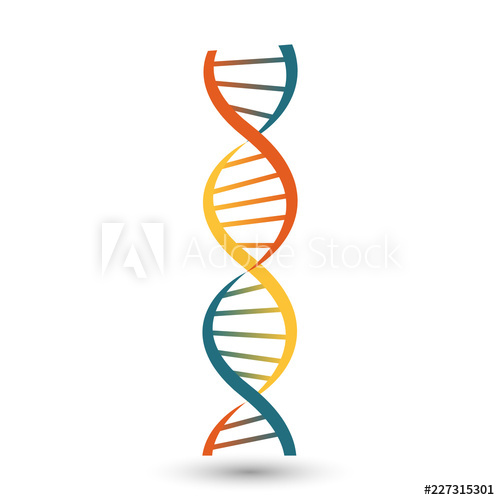 dna clipart colourful