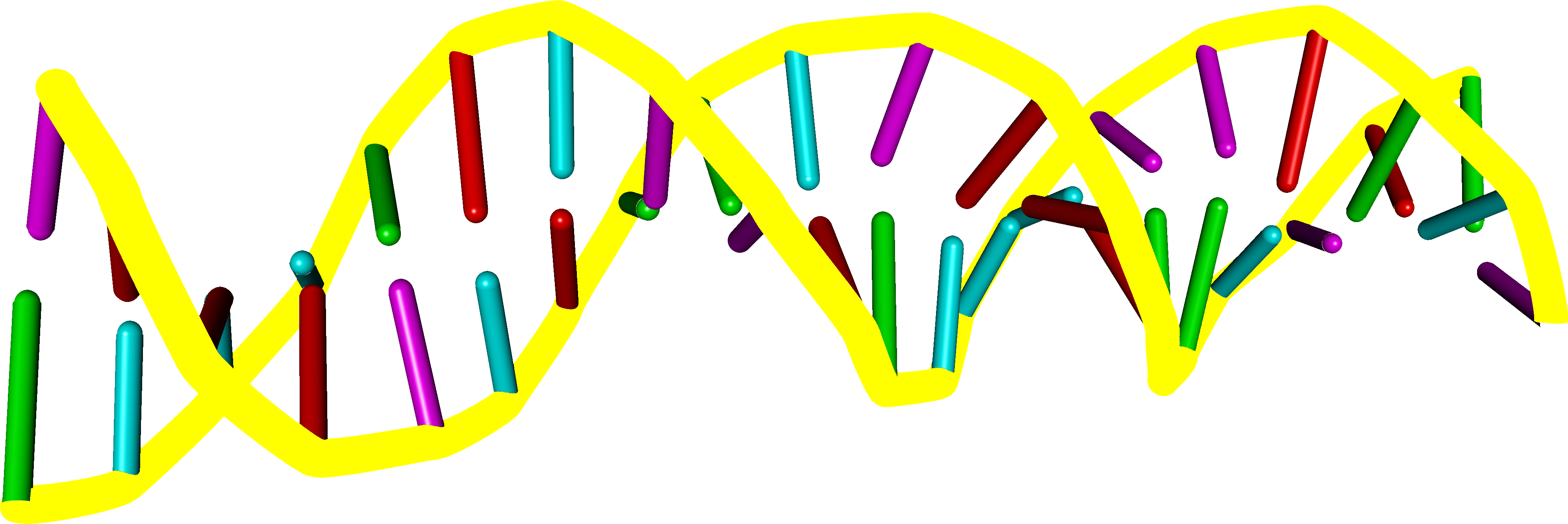 dna clipart double helix