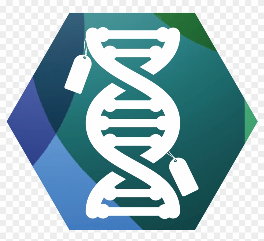 dna clipart epigenetics