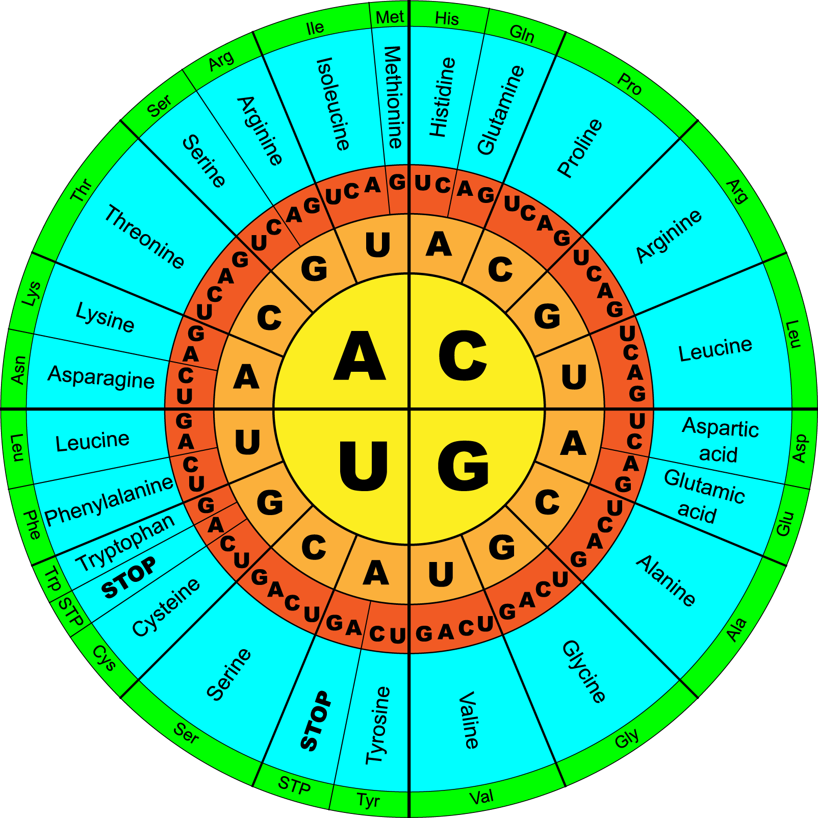 Dna Clipart Genetic Code Dna Genetic Code Transparent FREE For 