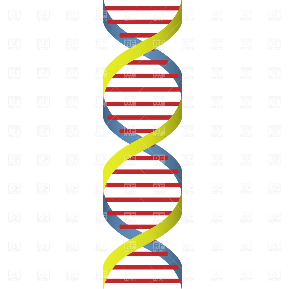 Strand universal stores information. Dna clipart genetic code