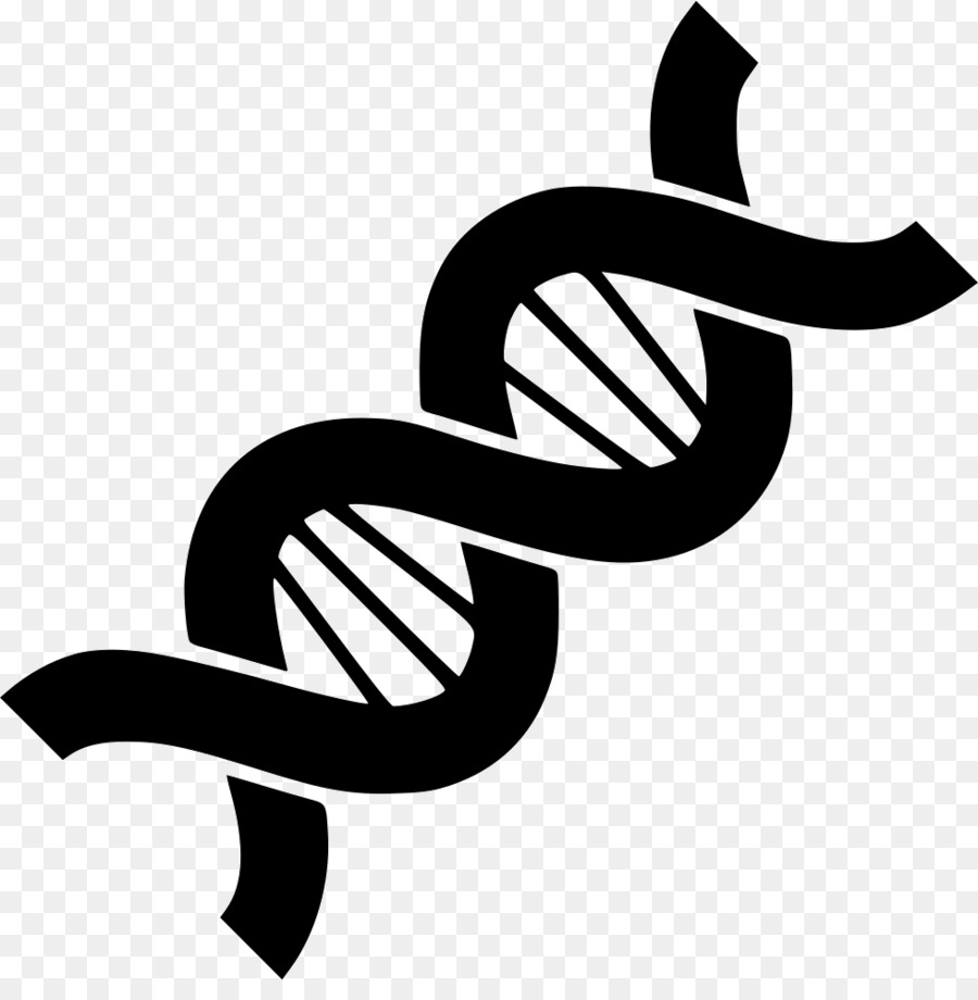 dna clipart heredity