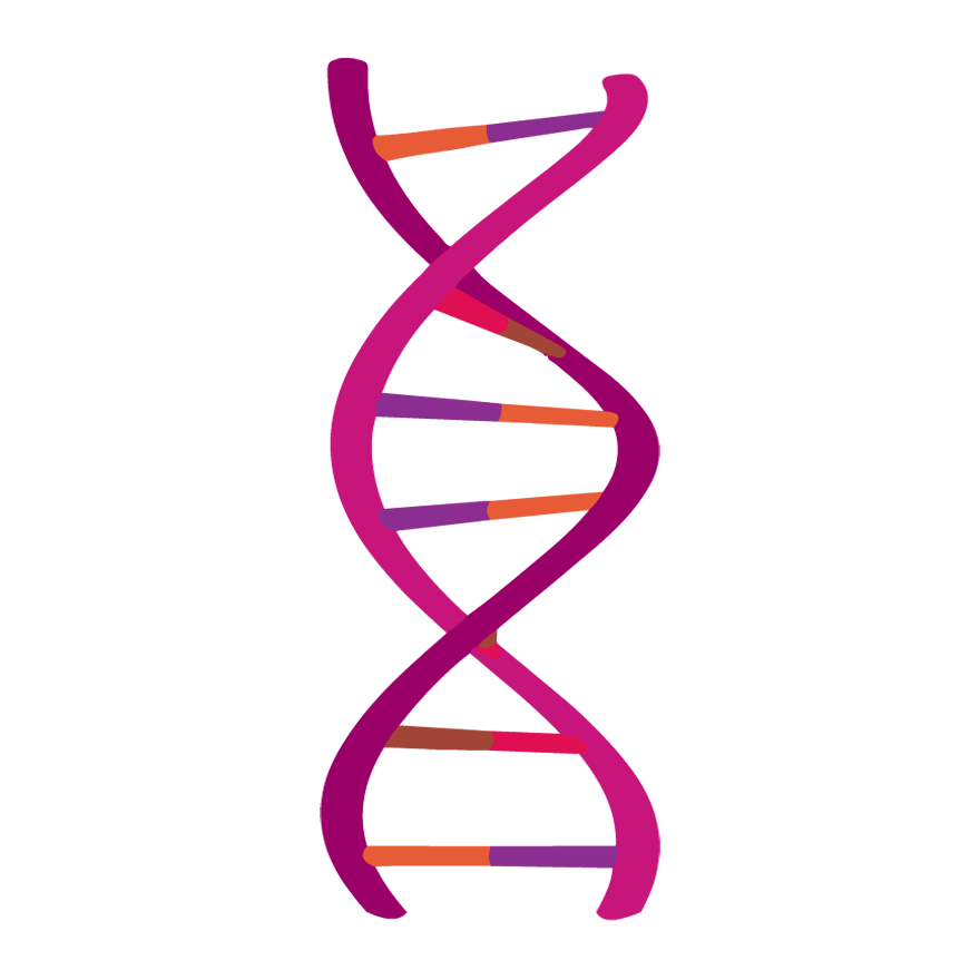 Picture #925849 - dna clipart nucleic acid. dna clipart nucleic acid. 