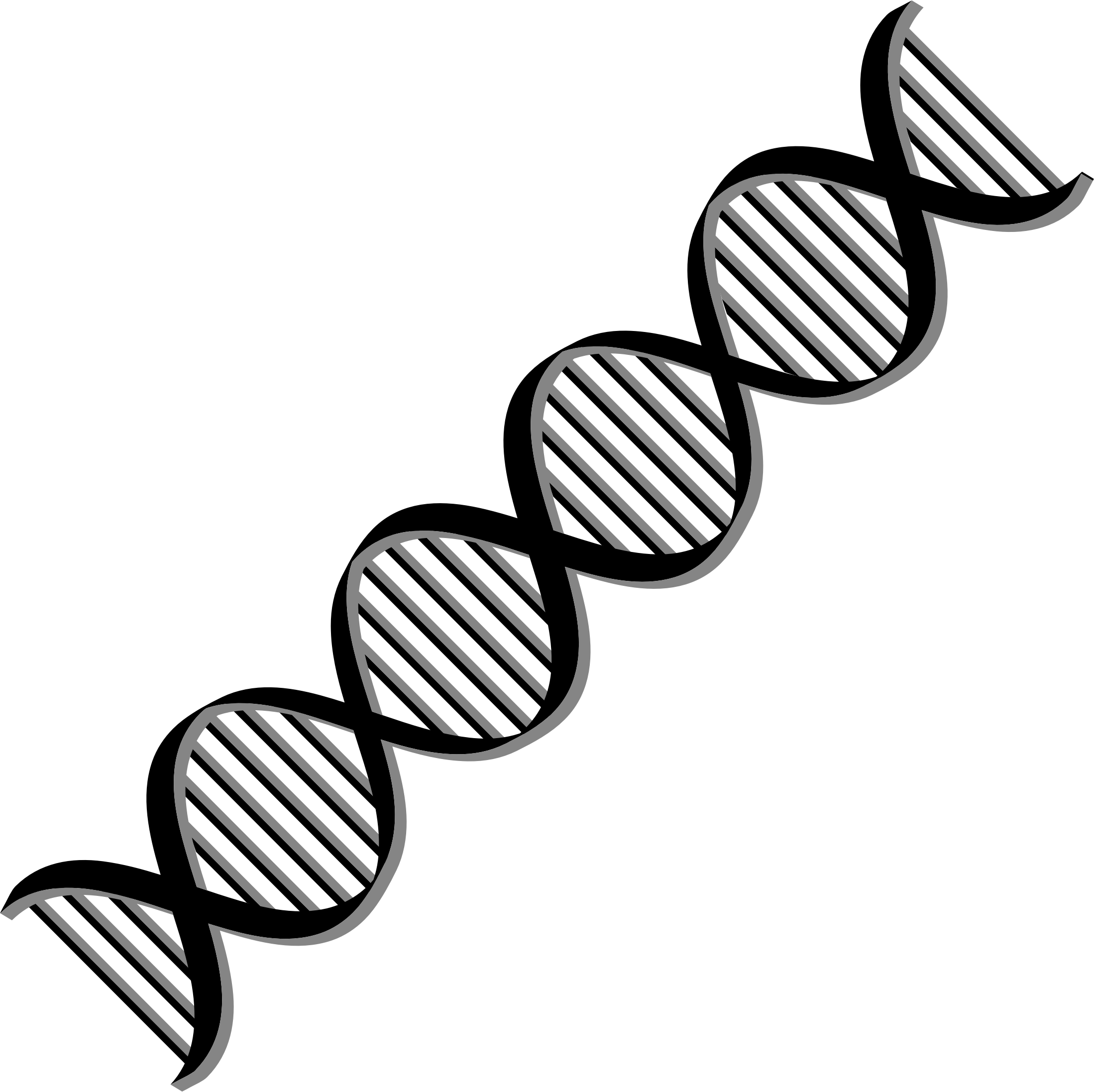  collection of transparent. Dna clipart person