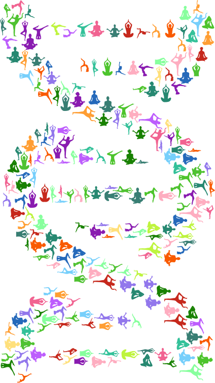 Yoga medium image png. Dna clipart person