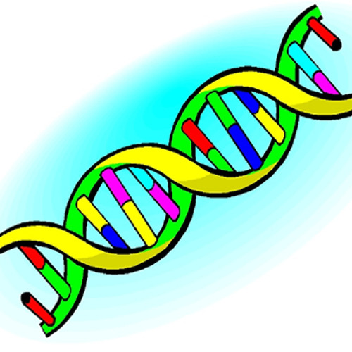 Fiddlestickz free listening on. Dna clipart physical science