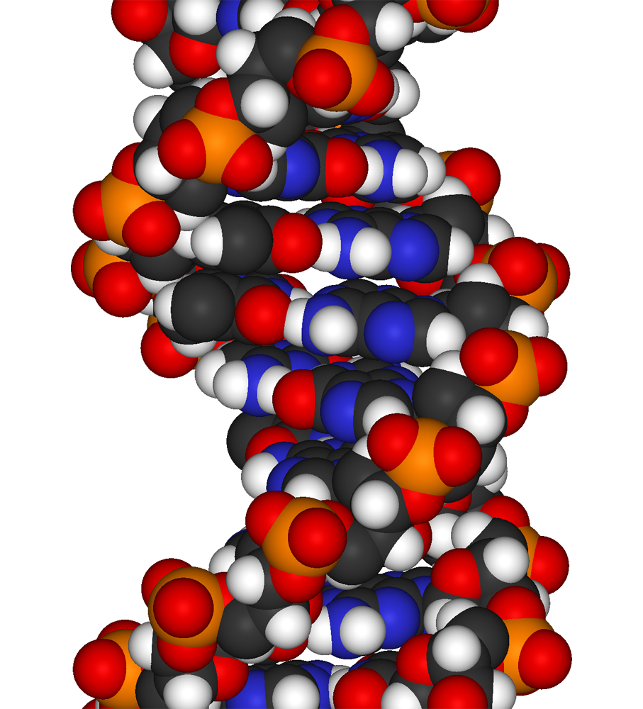 dna clipart physical science