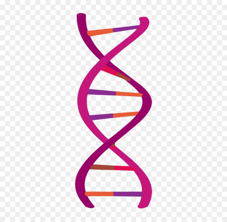 dna clipart pink