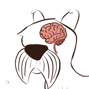 dog clipart brain