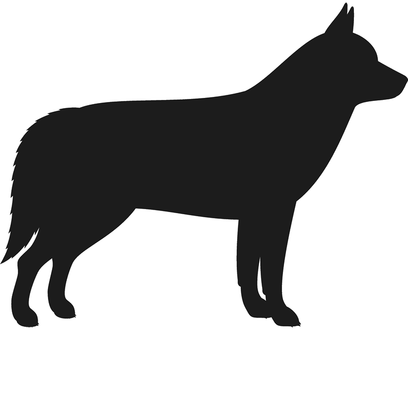 dogs clipart husky