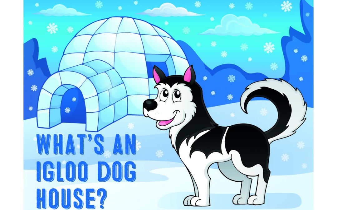Doghouse clipart dog pound. What s an igloo