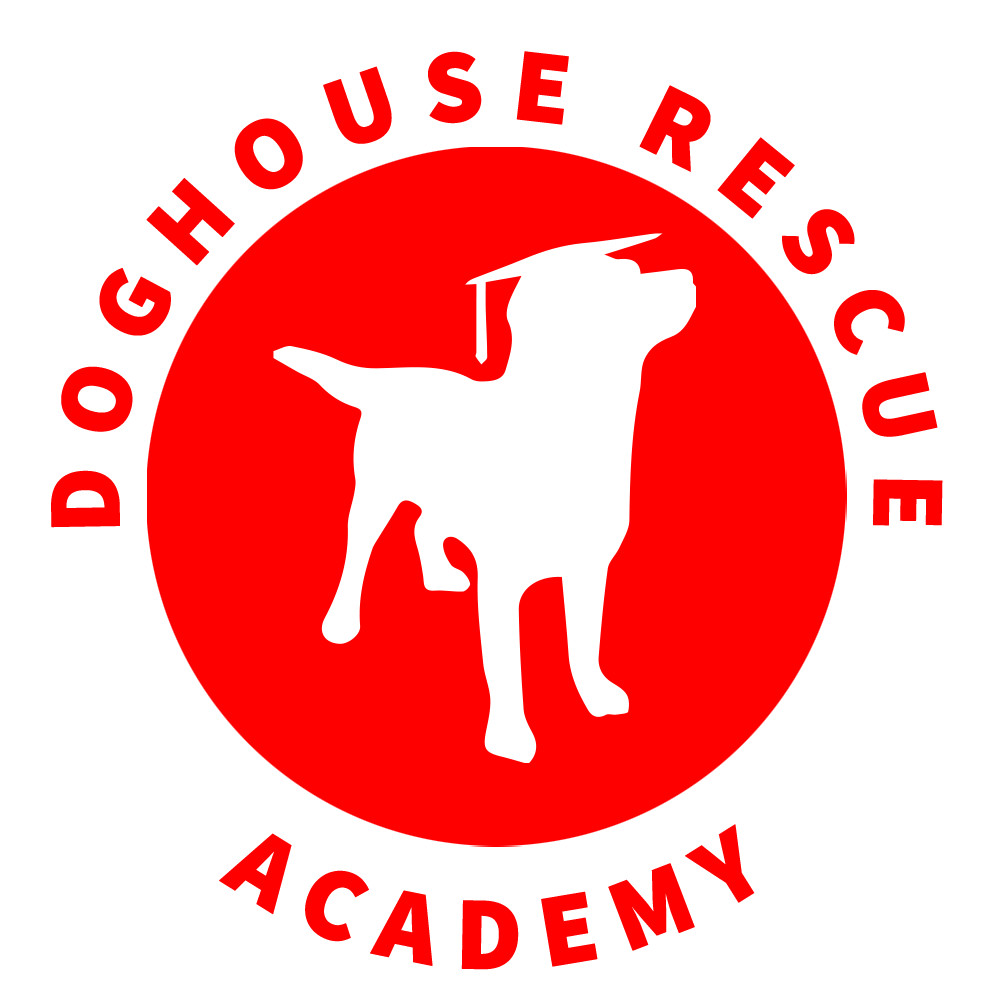 Doghouse clipart dog shelter. Pets for adoption at