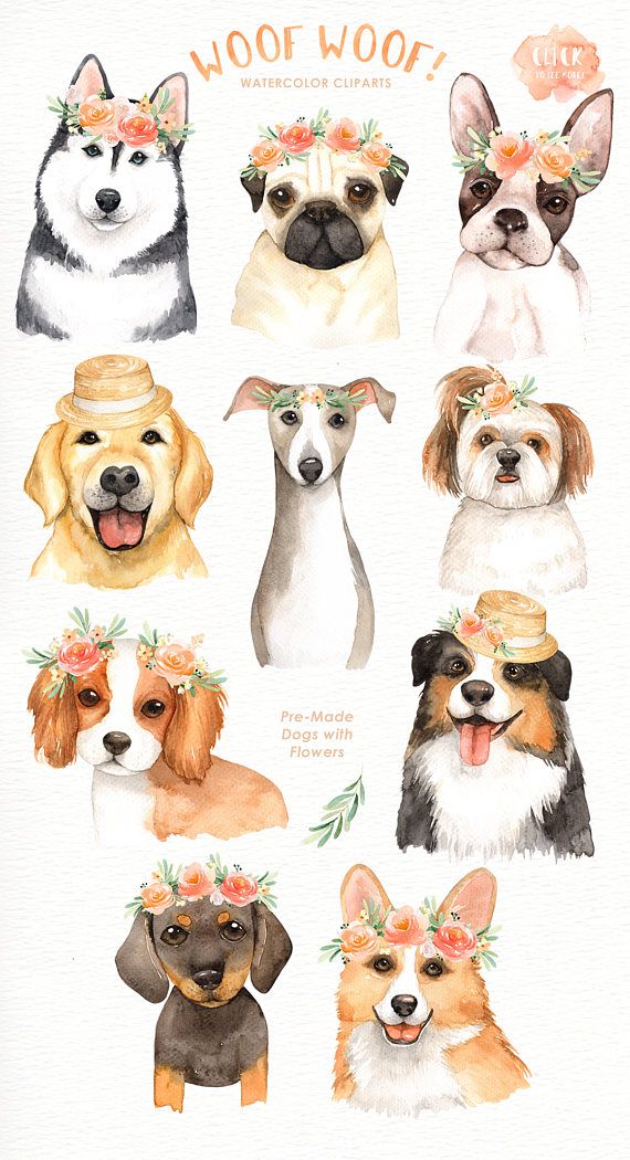 Woof lover cliparts woodland. Dogs clipart flower