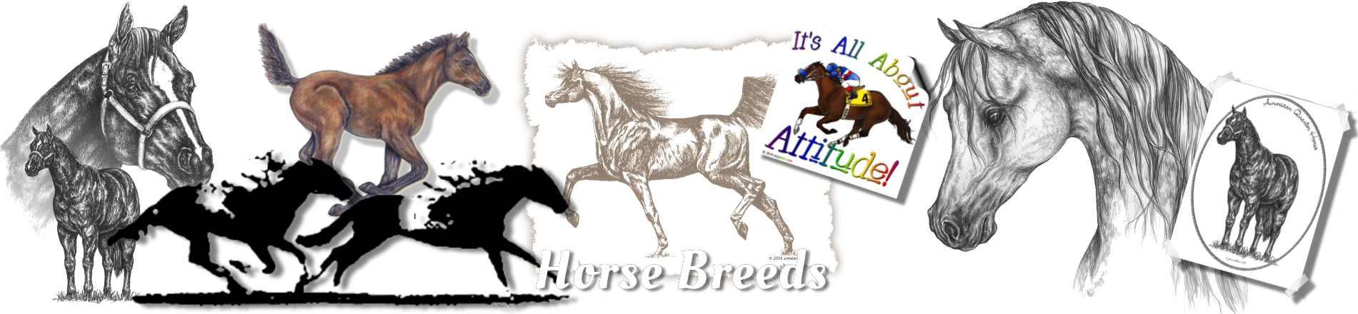 dogs clipart horse